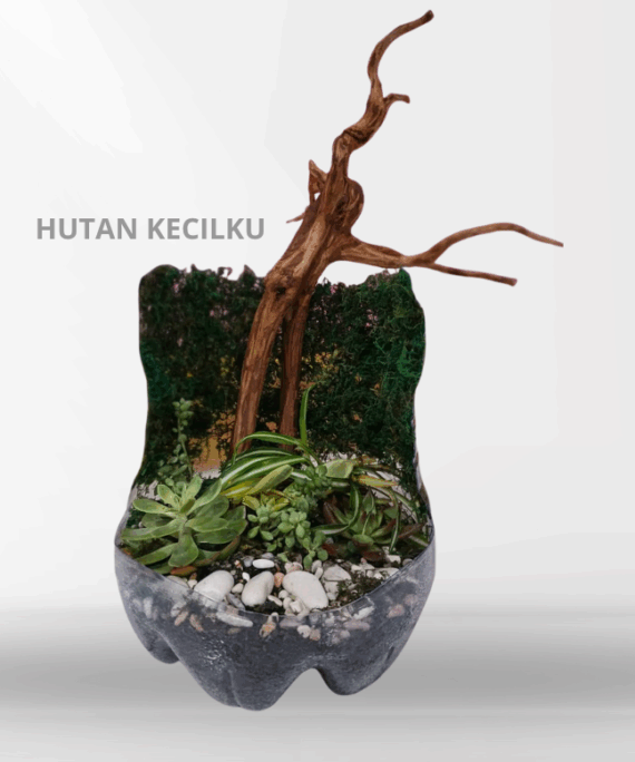 HUTAN KECILKU