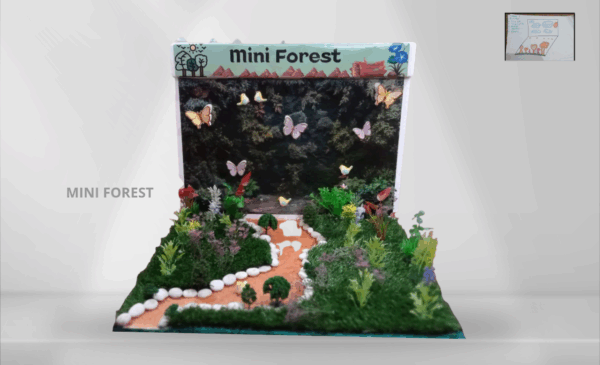 MINI FOREST