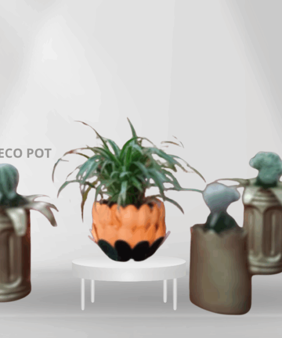 ECO POT